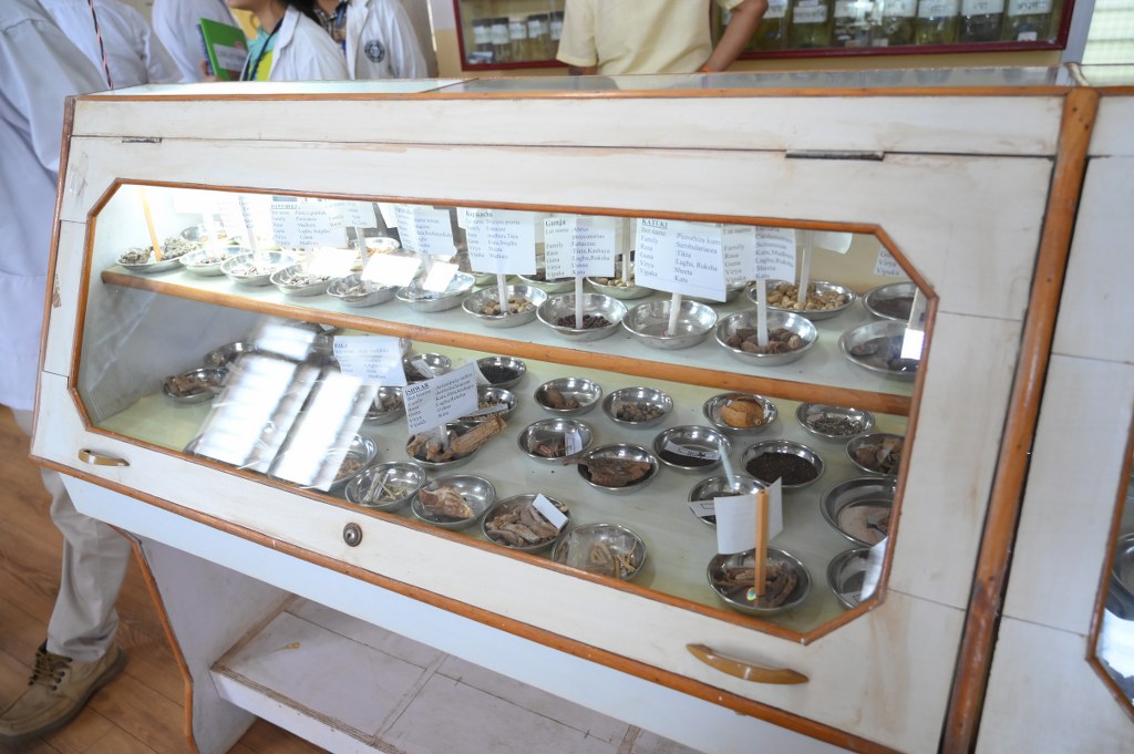 https://svpayur.org/wp-content/uploads/2025/05/museum.jpg